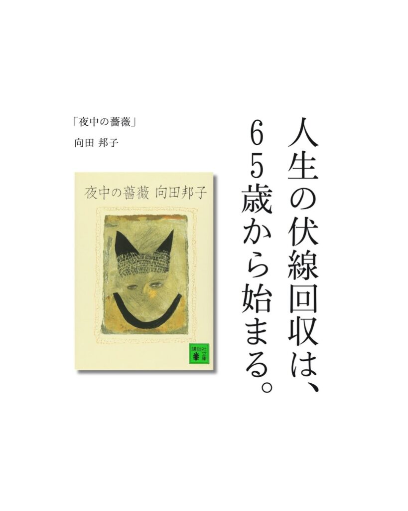 夜中の薔薇の紹介投稿ビジュアル